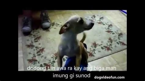 KIYOD MI official music video (KIYOMI BISAYA VERSION).